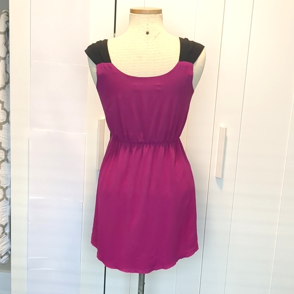 Aritzia Central Park West Pink and Black Silk Dress - Picture 6 of 10